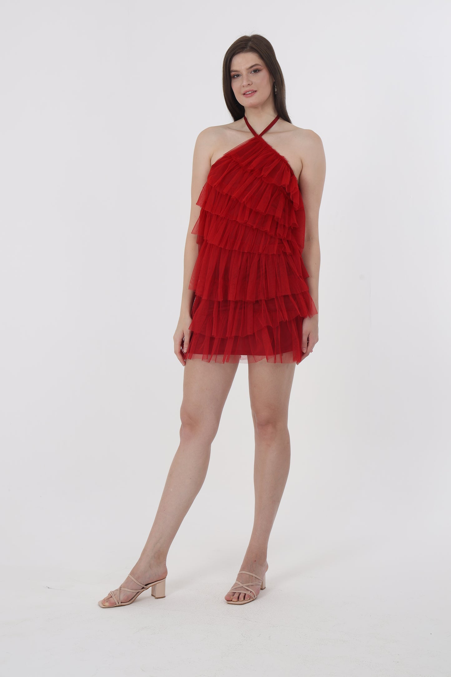 Net Halter Neck Dress