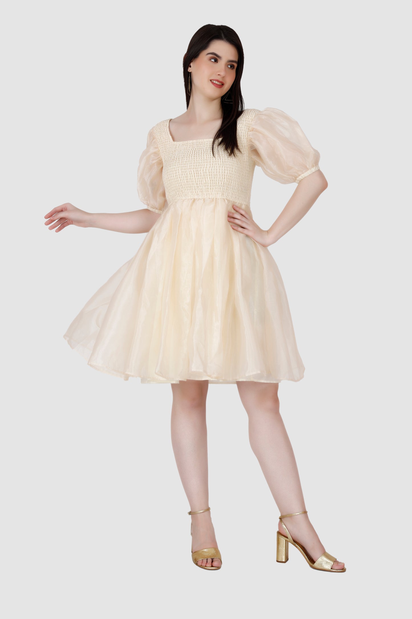 Organza Frock dress